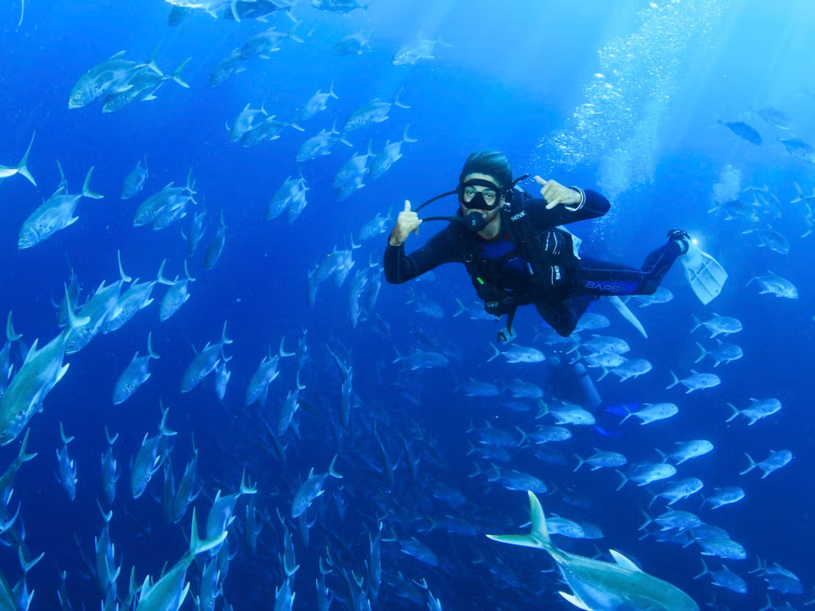 Cabo Scuba Diving at Land's End
