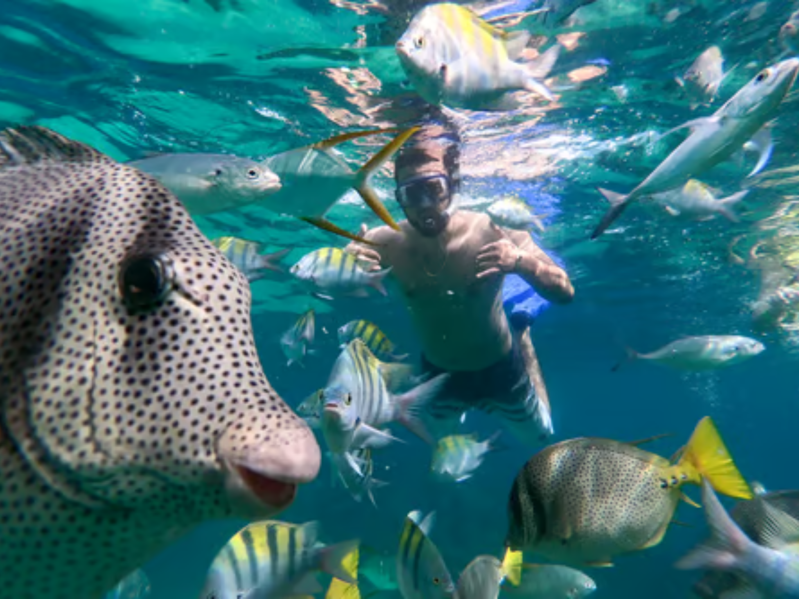 Snorkeling at Pelican´s Rock