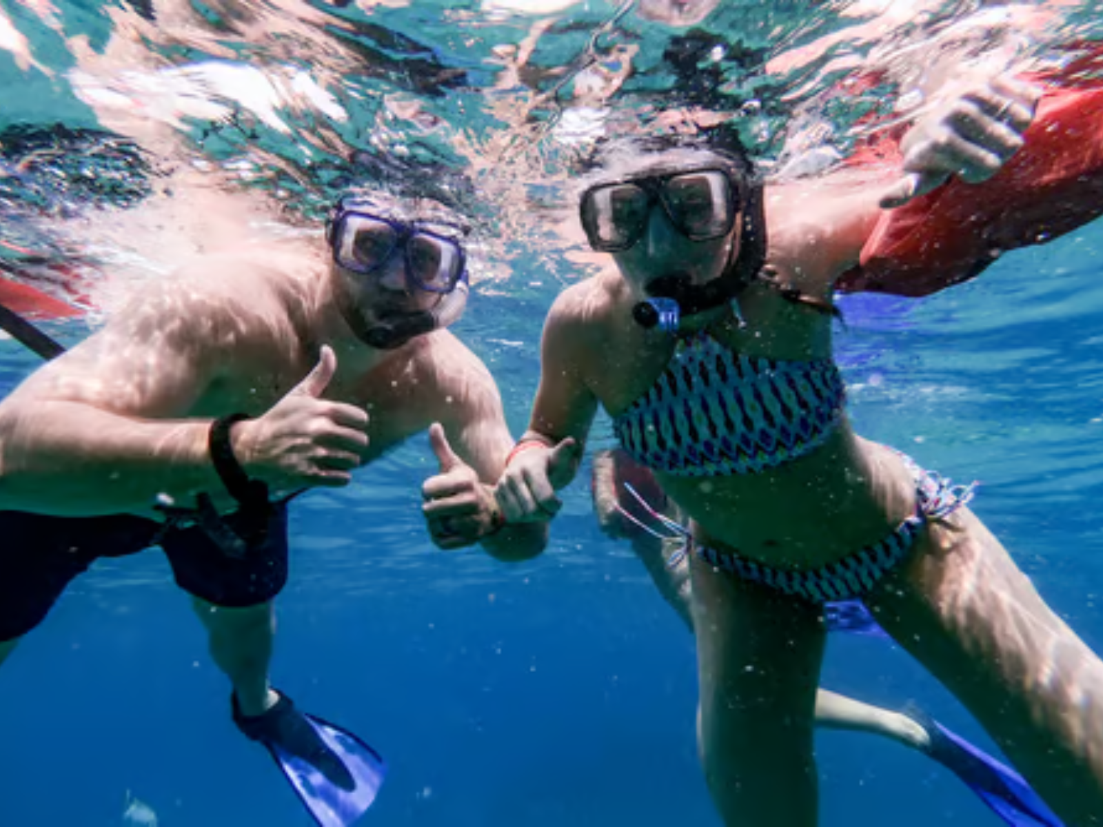 Snorkeling at Pelican´s Rock Deluxe