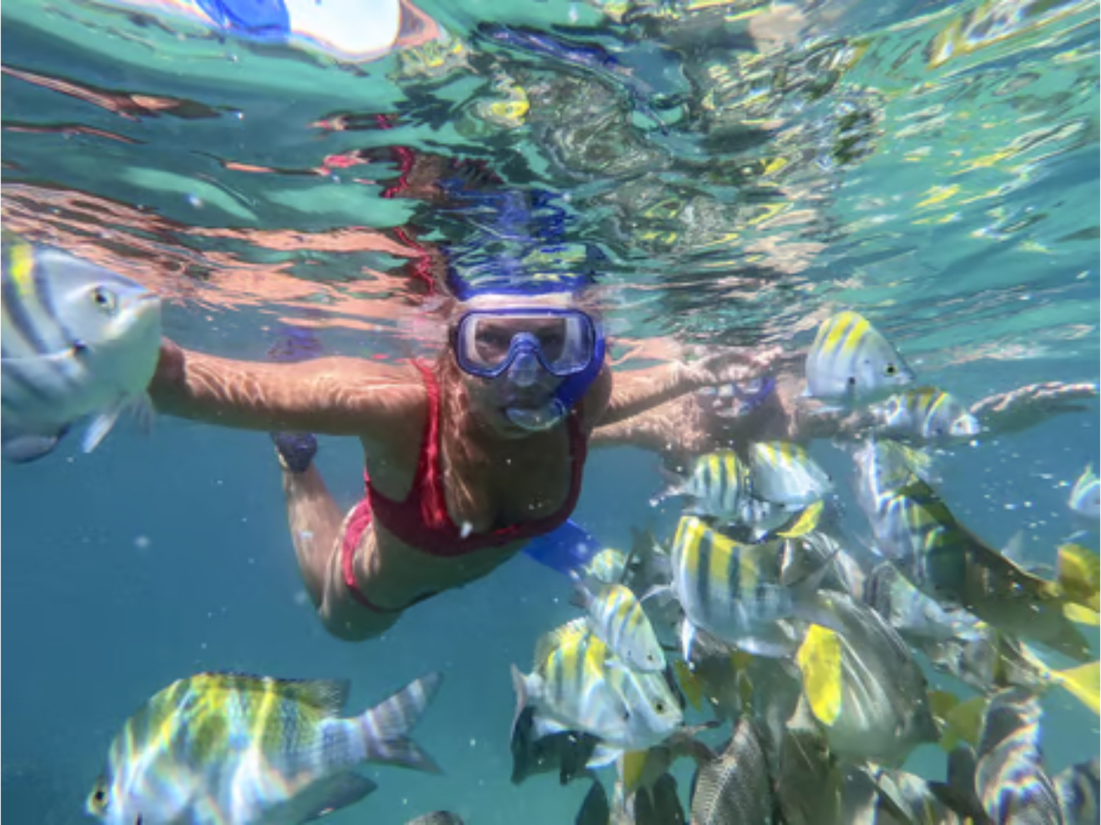 Glass Bottom Boat and Snorkeling Tour